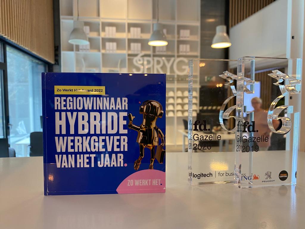 zo-werkt-het-award